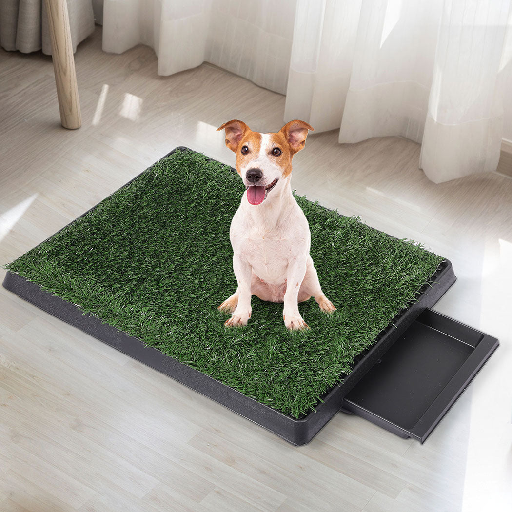 pawz-indoor-dog-pet-grass-potty-training-1973193644366237703