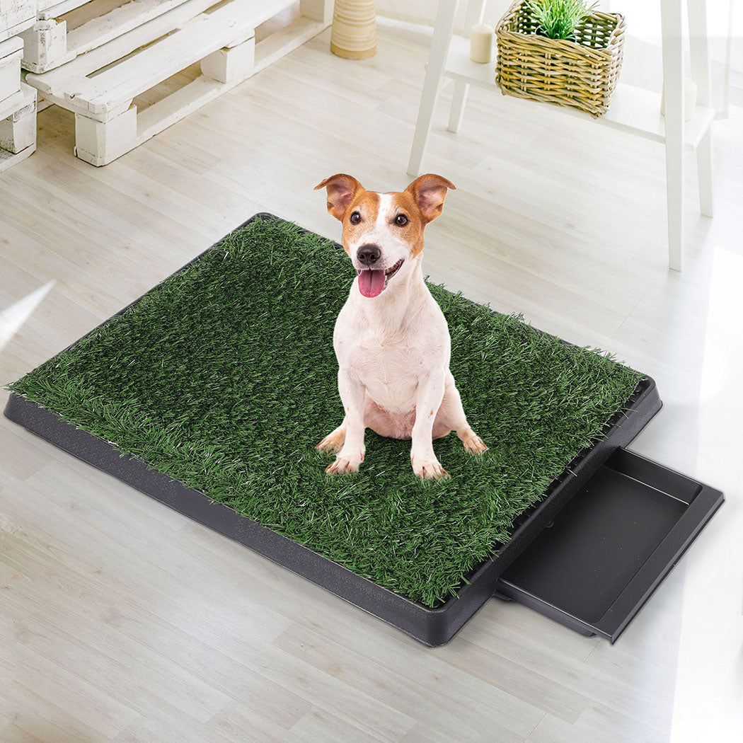 pawz-indoor-dog-pet-grass-potty-training-1973193644366237702