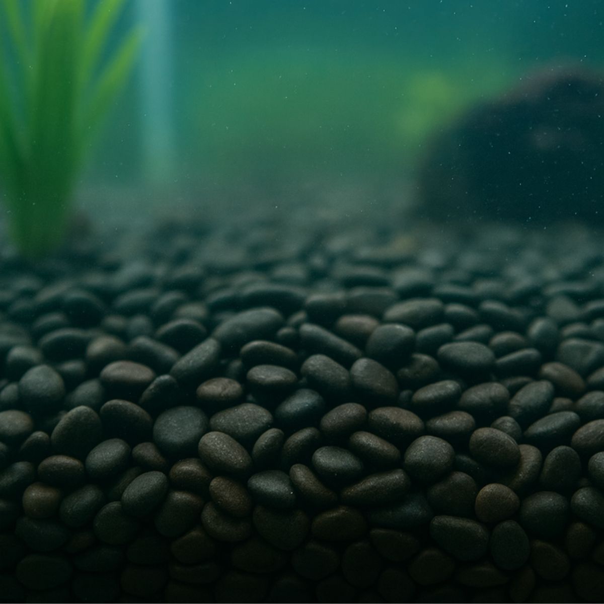 3x-showmaster-4-6mm-black-pebbles-5kg-1996009962815492097