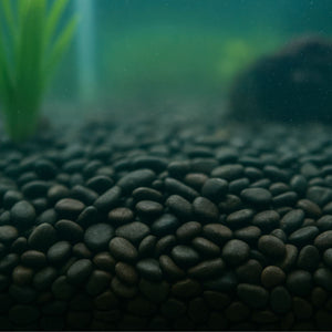2x Showmaster 4-6mm Black Pebbles 5kg-1996009962660302849