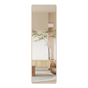 Yezi 120cm Wall Mounted Full Length Mirror Door Hanging-1996005425467756544