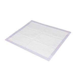 PaWz 400x Pet Dog Toilet Training Pad-1973193682102390784