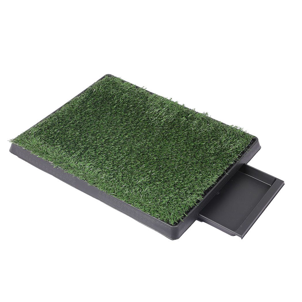 pawz-indoor-dog-pet-grass-potty-training-1973193644366237696