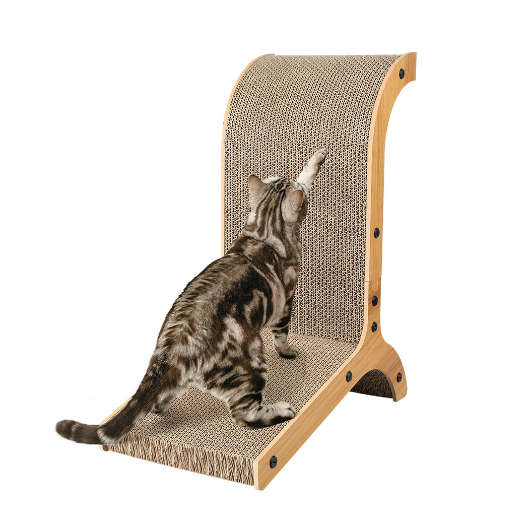 pawz-cat-scratch-pad-cardboard-kitten-1973193667875311616