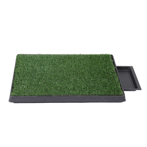 PaWz Indoor Dog Pet Grass Potty Training-1973193644366237697