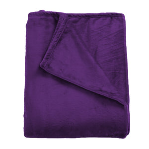 DreamZ 320GSM 220x160cm Ultra Soft Mink Aubergine Single-1973194035757715457