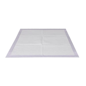 PaWz 100x Pet Dog Toilet Training Pad-1973193681661988865