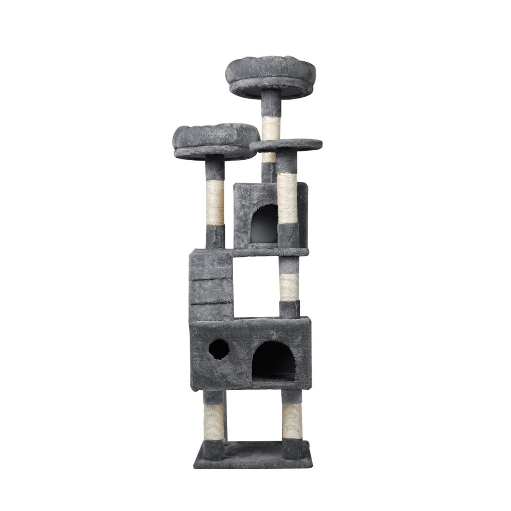 pawz-cat-trees-scratching-post-scratcher-1973193806035685377