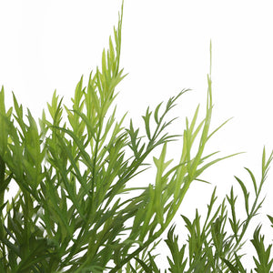 Lambu 65CM Artificial Tree Fake Plants Home Decor-1996005421663522819