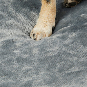 Pawz Orthopedic Dog Bed XL Grey-1996005409474875395
