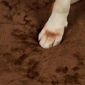 Pawz Orthopedic Dog Bed XL Coffee-1996005409114165251