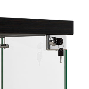 Stacked Display Cabinet Collection Storage Tempered Glass 2 Tier With Lock Black-1996005385034665987