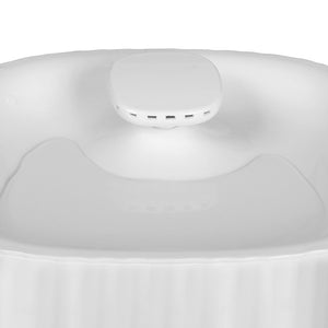 PAWZ Pet Water Fountain-1996005384049004548