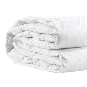 DreamZ 500GSM All Season Goose Down Queen-1973193830257790980