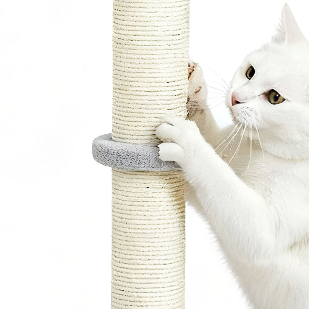 pawz-cat-scratcher-scratching-post-1996005541633200132