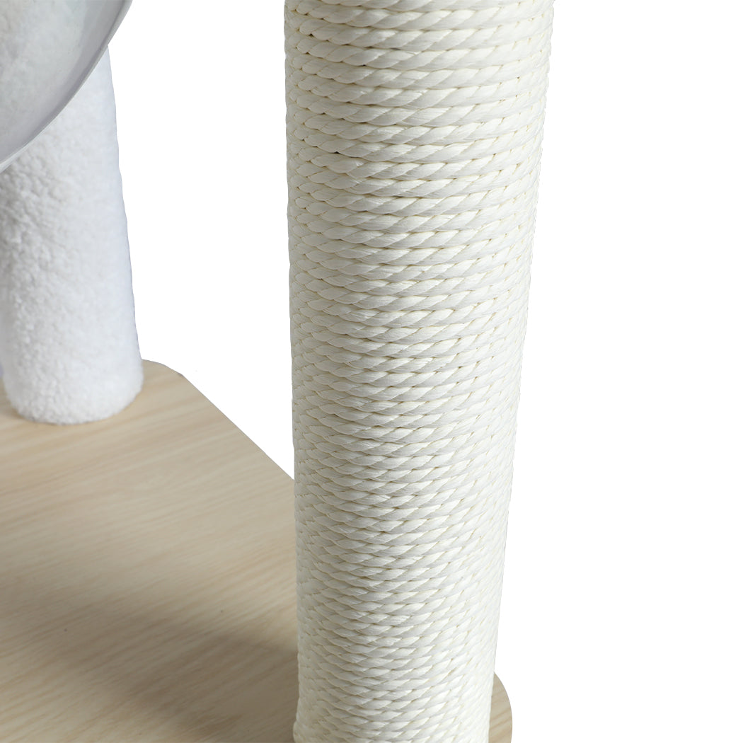pawz-cat-tree-scratching-post-scratcher-1973193674208710661