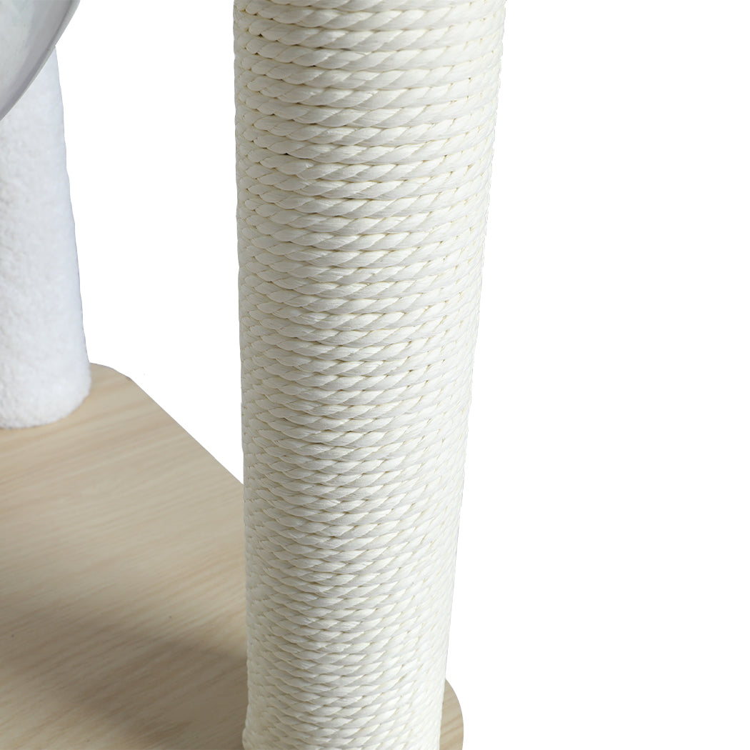 pawz-cat-tree-scratching-post-scratcher-1973193674019966981