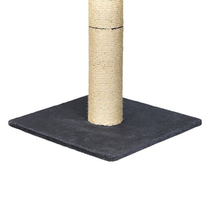 Pawz Cat Scratcher Scratching Post-1996005541817749509